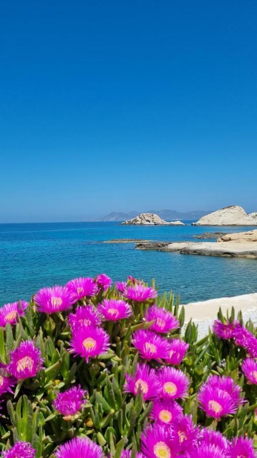 Anassa Milos House Mandrakia Екстериор снимка